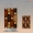 25009 / 10PCS