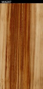 MJ6207