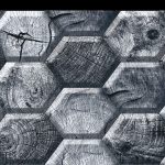 Azulejo 30×45 cm KING Y35006