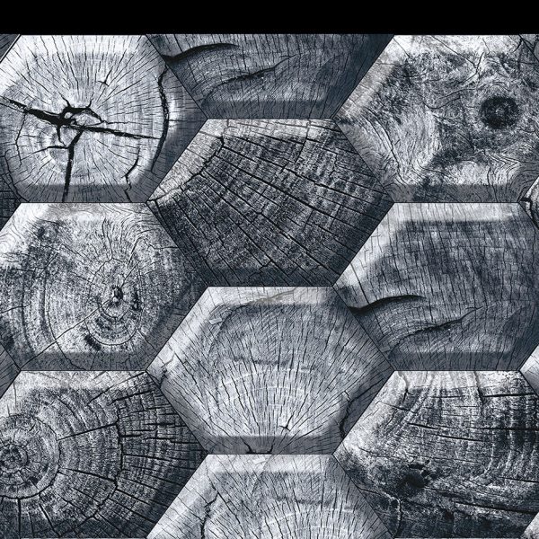 Azulejo 30×45 cm KING Y35006