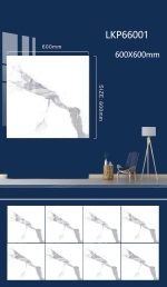 LKP66001 1